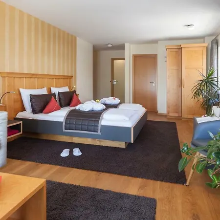 Boutiquehotel Zur Winzerstube - Adults Only 4* Хагнау